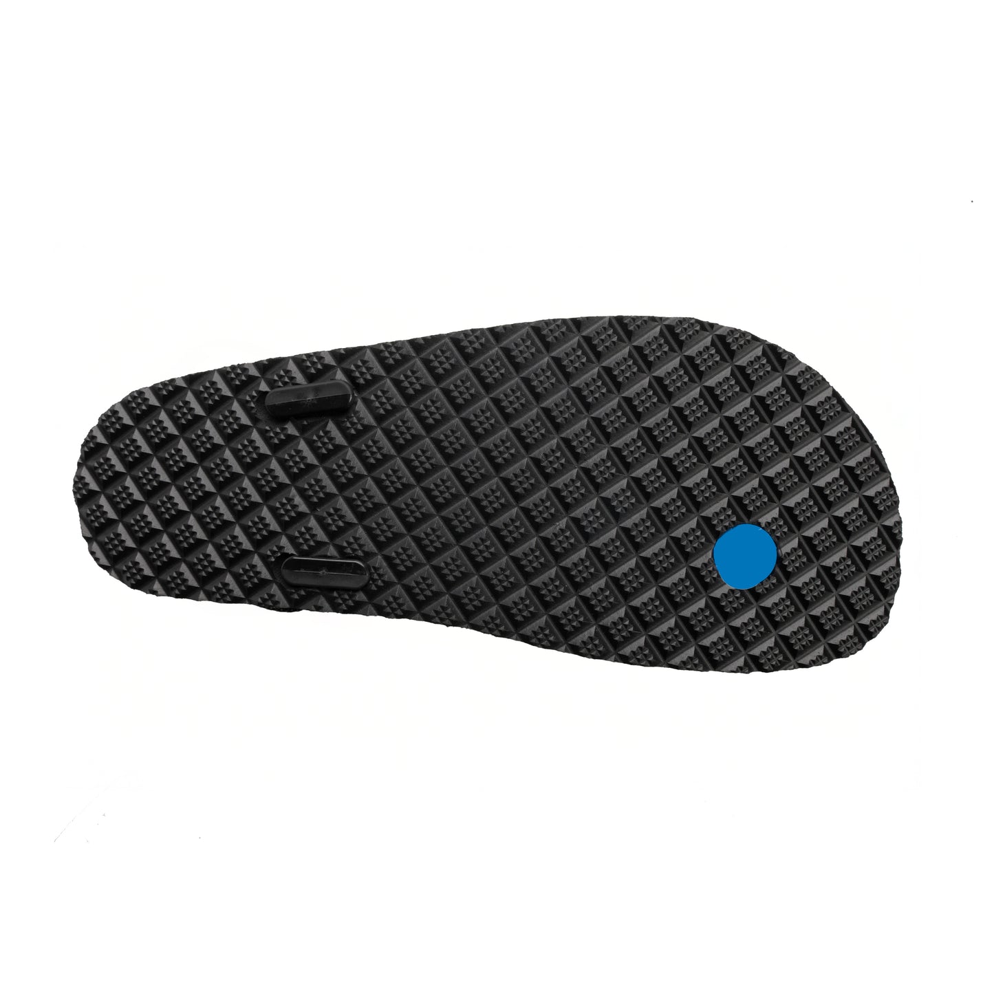 Raptor 3