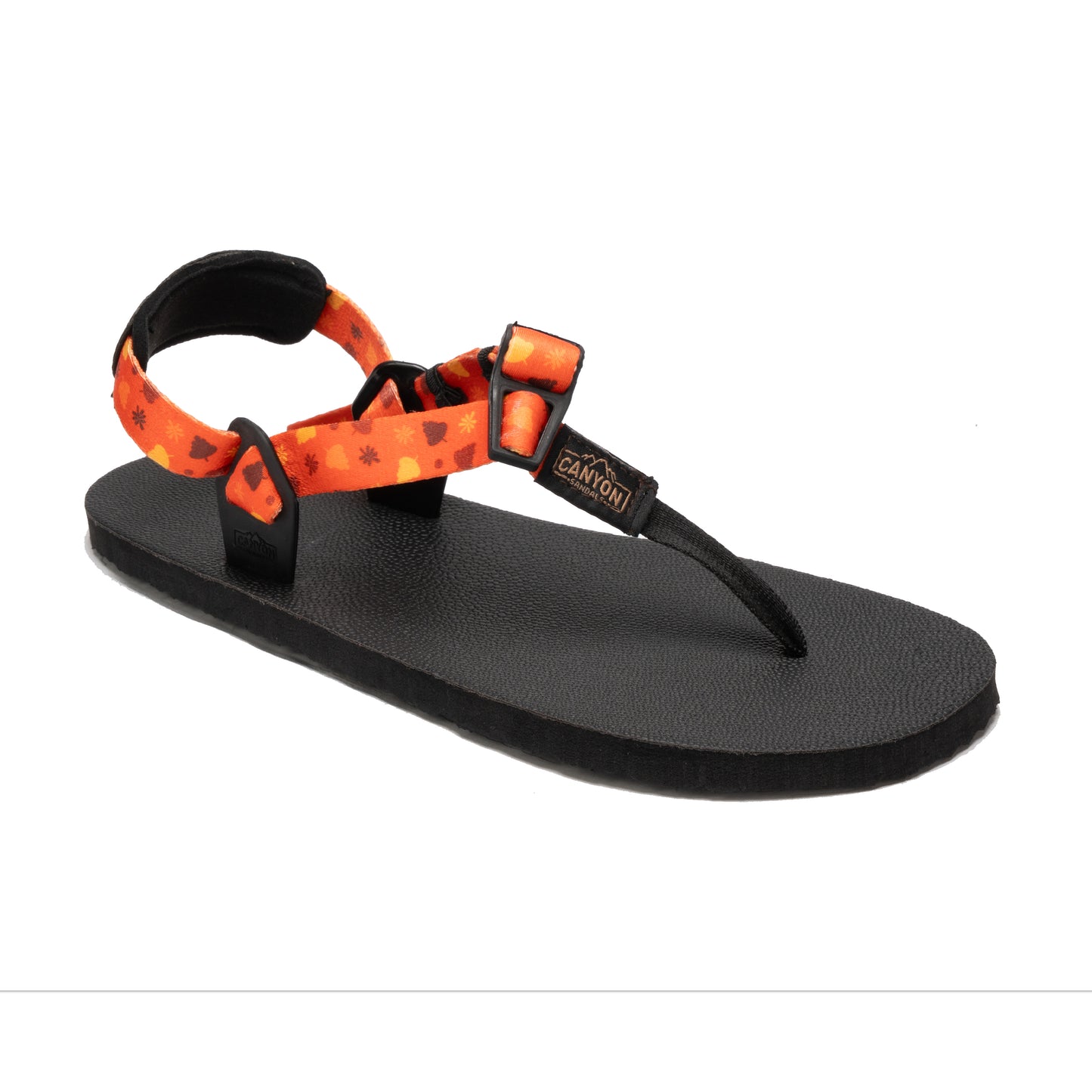 Raptor 3