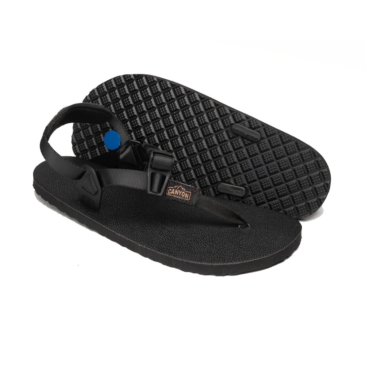 Raptor 3