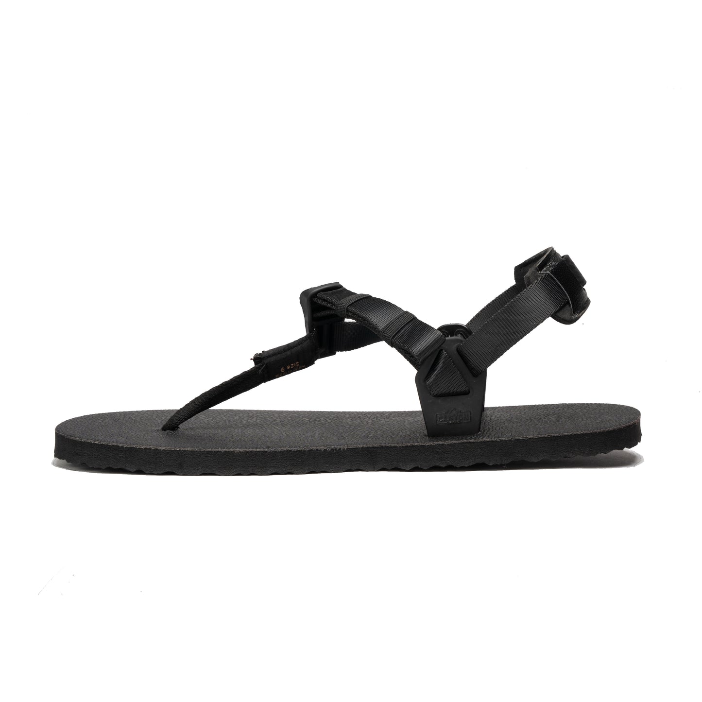 Raptor 3